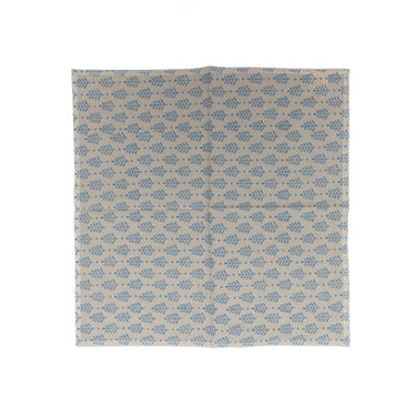 Blue & White Cotton Block Printed Napkins (pair)