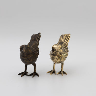 brass sparrow