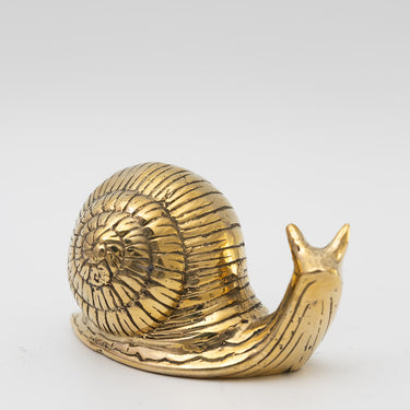 garden snails