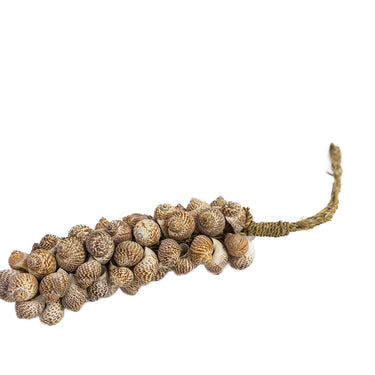 Shell Tassels