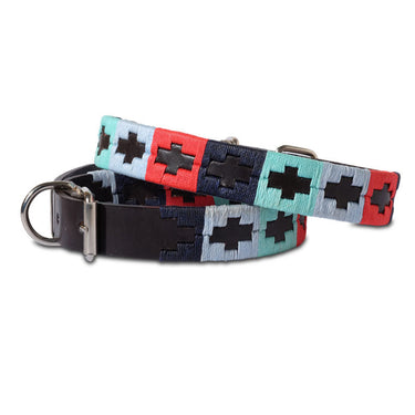 Gaucho collars & leads