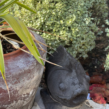 Decorative stone fish sculpture
