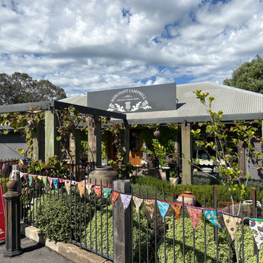 Recycled Sari Bunting (1.5-2m long ea) (pack of 2)