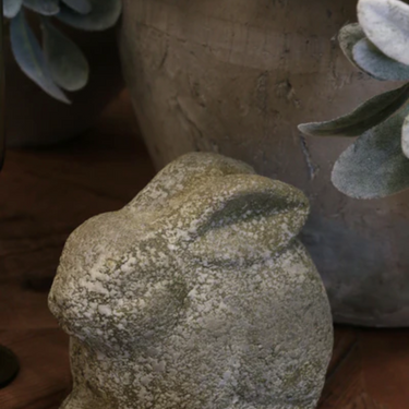 Garden rabbit