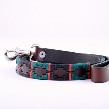Gaucho collars & leads
