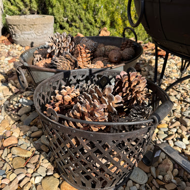 Iron Lattice Kindling Basket with Handle