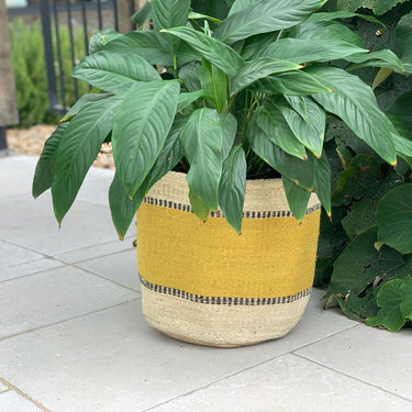 Woven plant basket