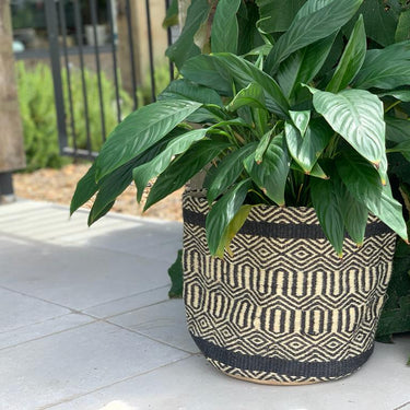 Woven plant basket
