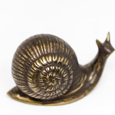 garden snails