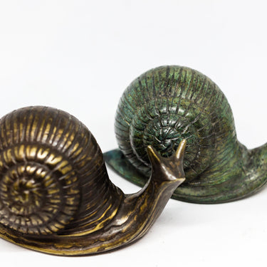 garden snails