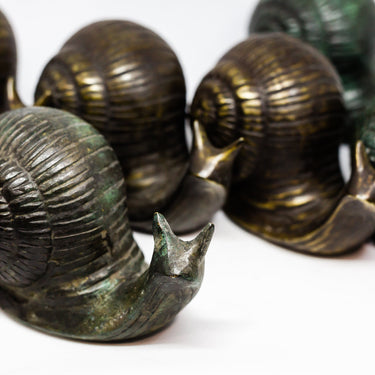 garden snails