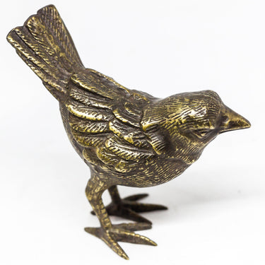 brass sparrow