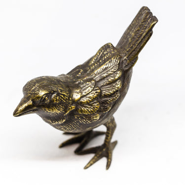brass sparrow