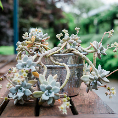 Hammered & embossed pot or wine bucket