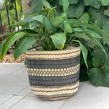 Woven plant basket