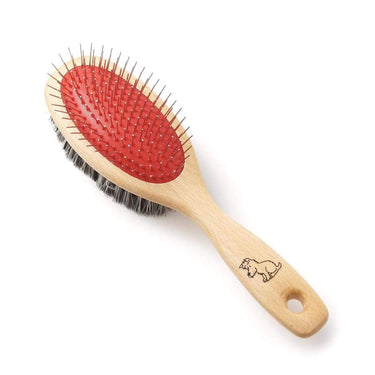 dog brush