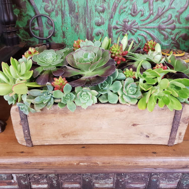 Wooden Brick Mould (Sancha)